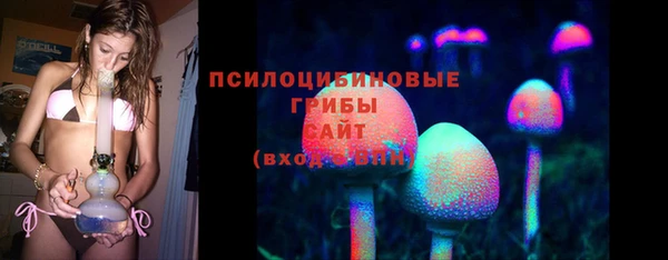 Альфа ПВП Вязьма