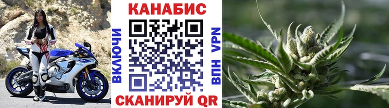 Бошки Шишки ГИДРОПОН Морозовск